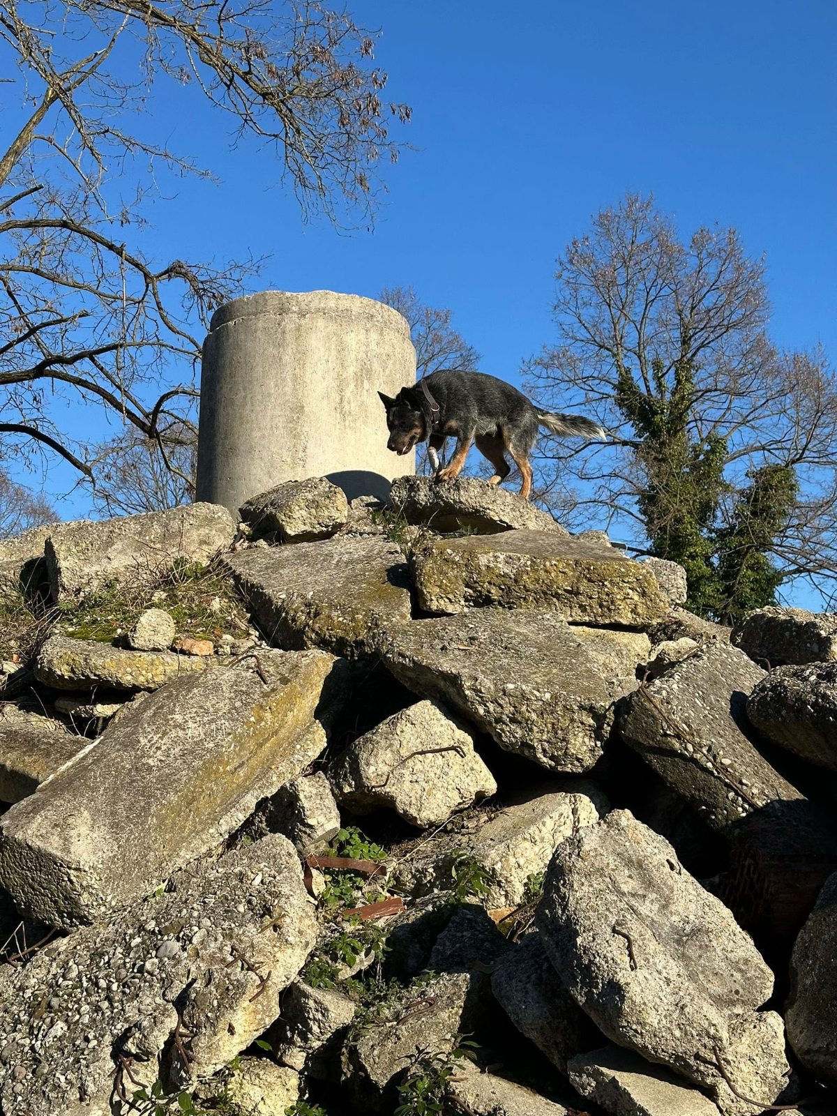 600580489 901602162198205 2068535804327487364 n