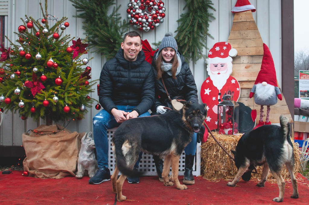 601821240 1162068092765106 1166995659945482456 n