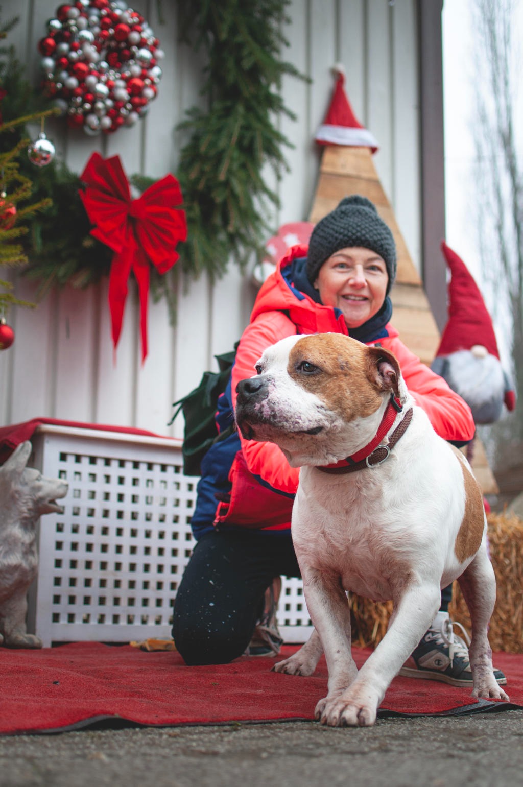 601943746 1162068436098405 5576423148604355040 n