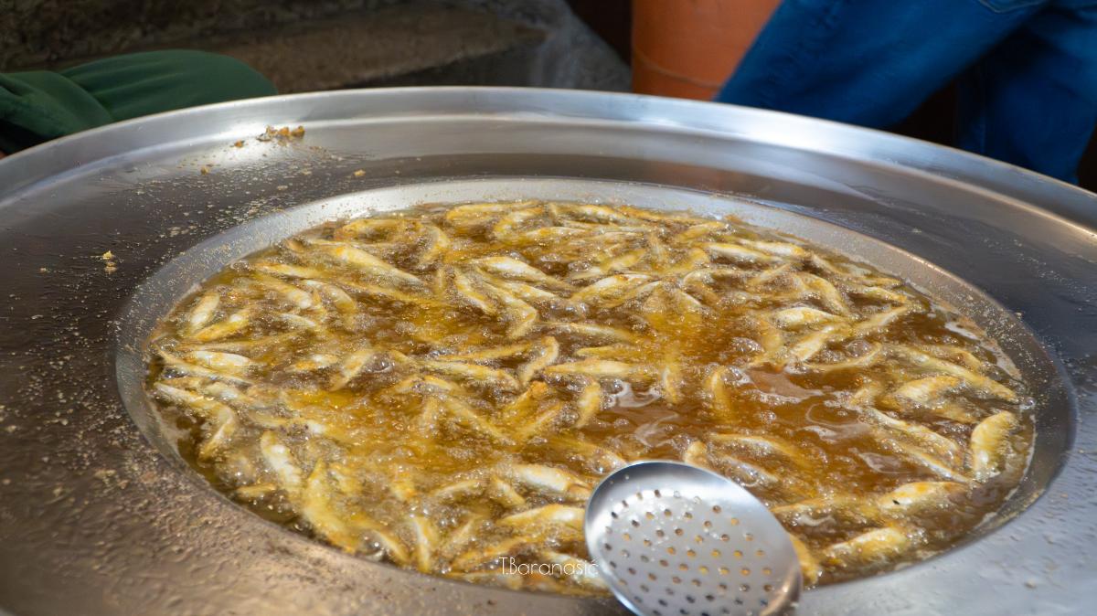 603842825 122159308742861506 3807912251638010476 n