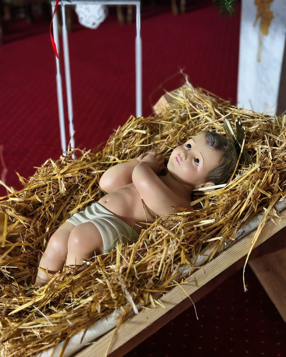 604544948 122194078358502988 6121766036694446873 n