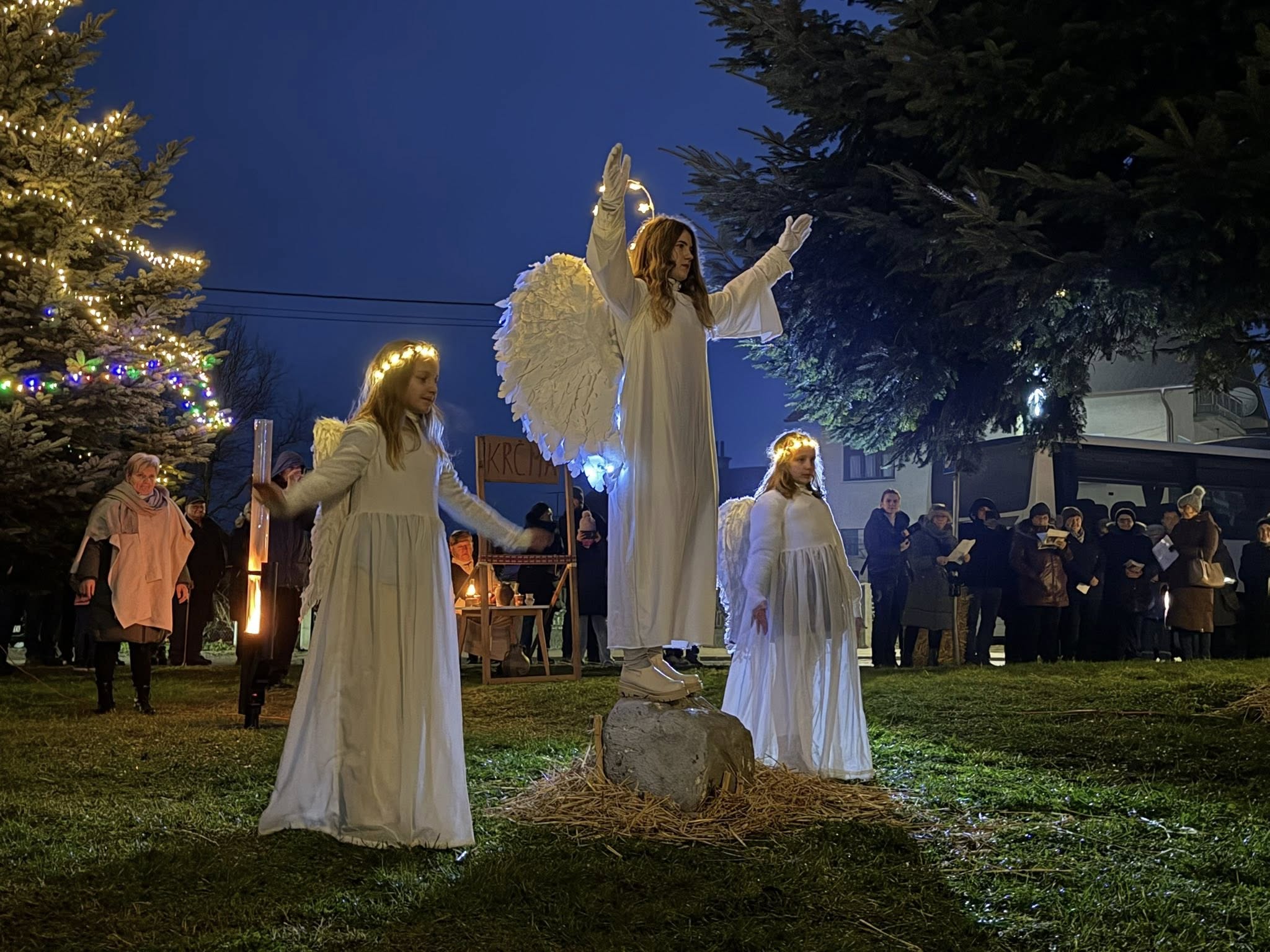 604668276 1180807547473848 4288749334328789767 n