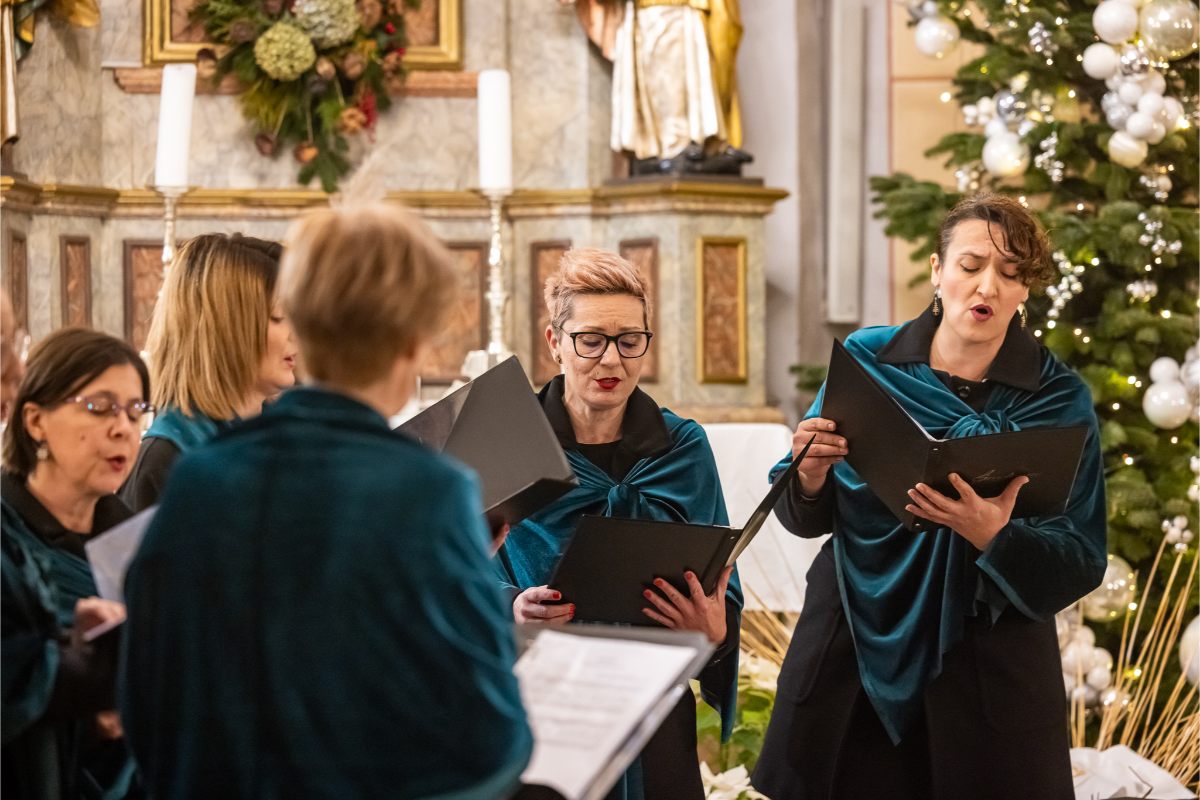 604676248 1315028790663801 8471352732557866646 n