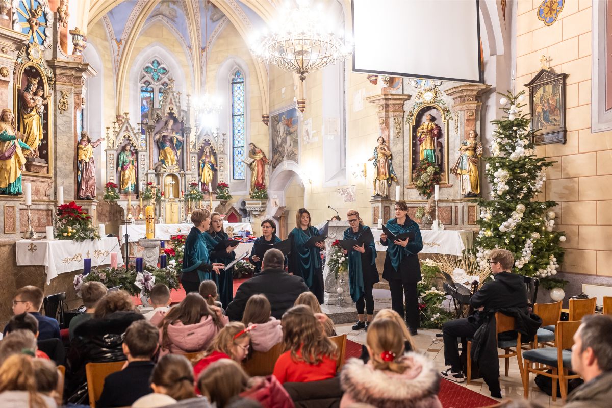 604804770 1315028913997122 4273614408216358347 n