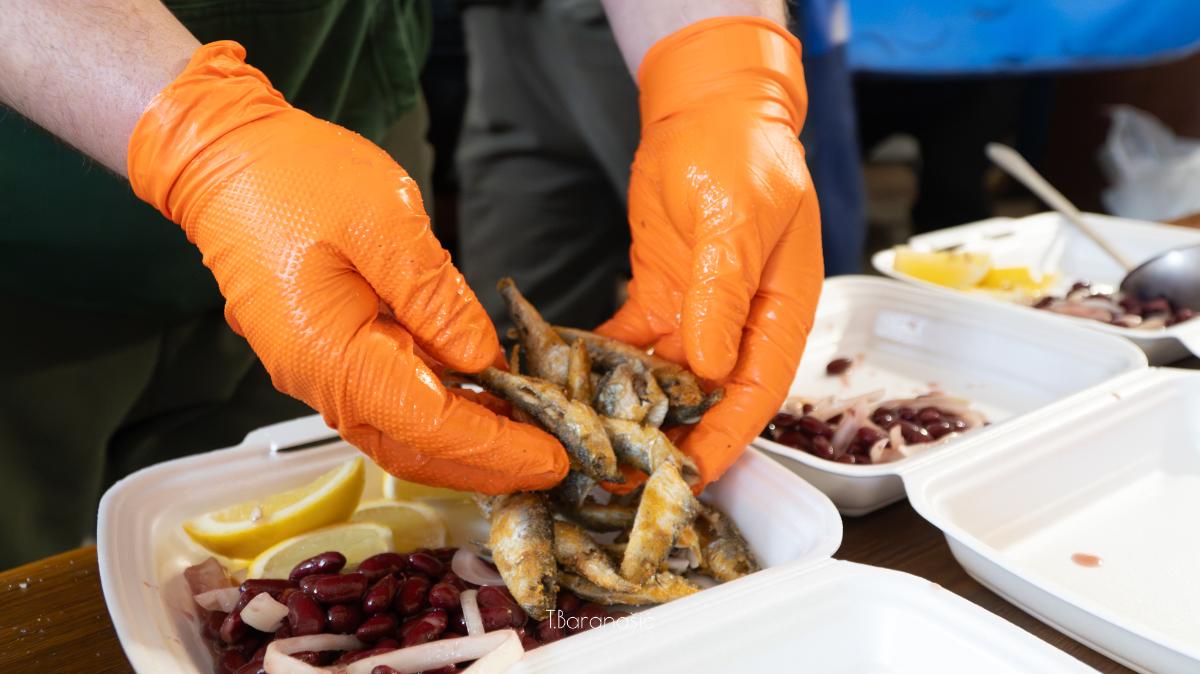 606036592 122159308448861506 2395679783004038644 n