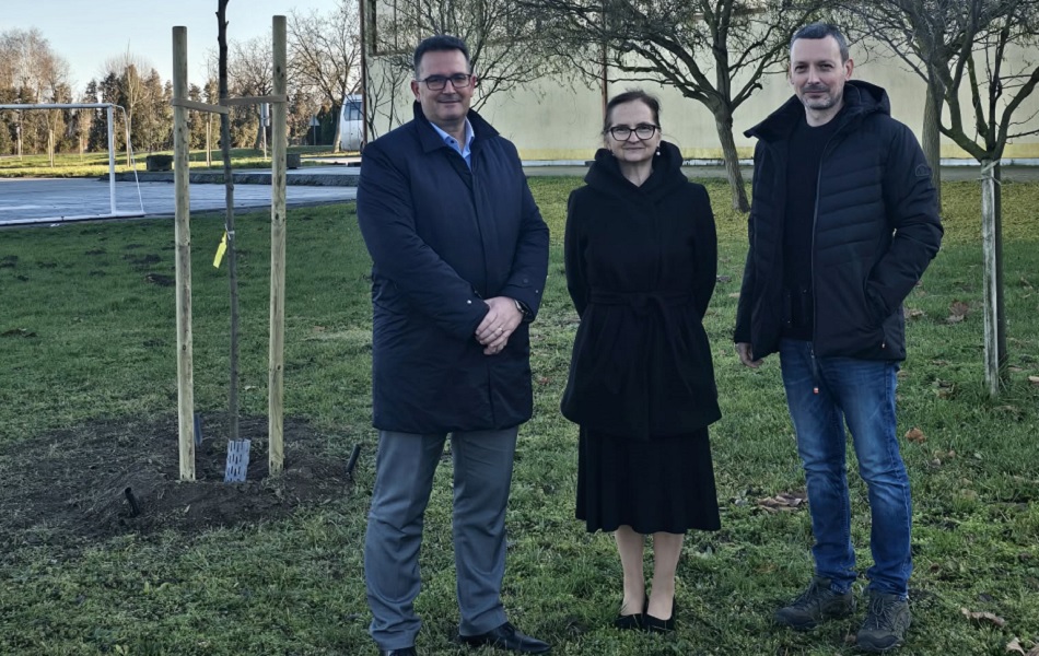 9931 72913 ktc drvea