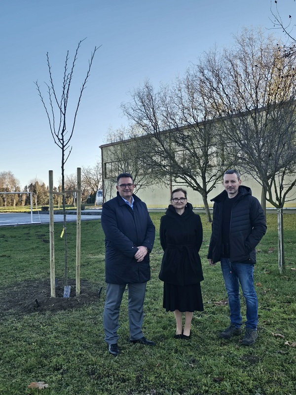 9931 72915 6c2612a2 f2b5 4cfb b9ce a46578179d4b