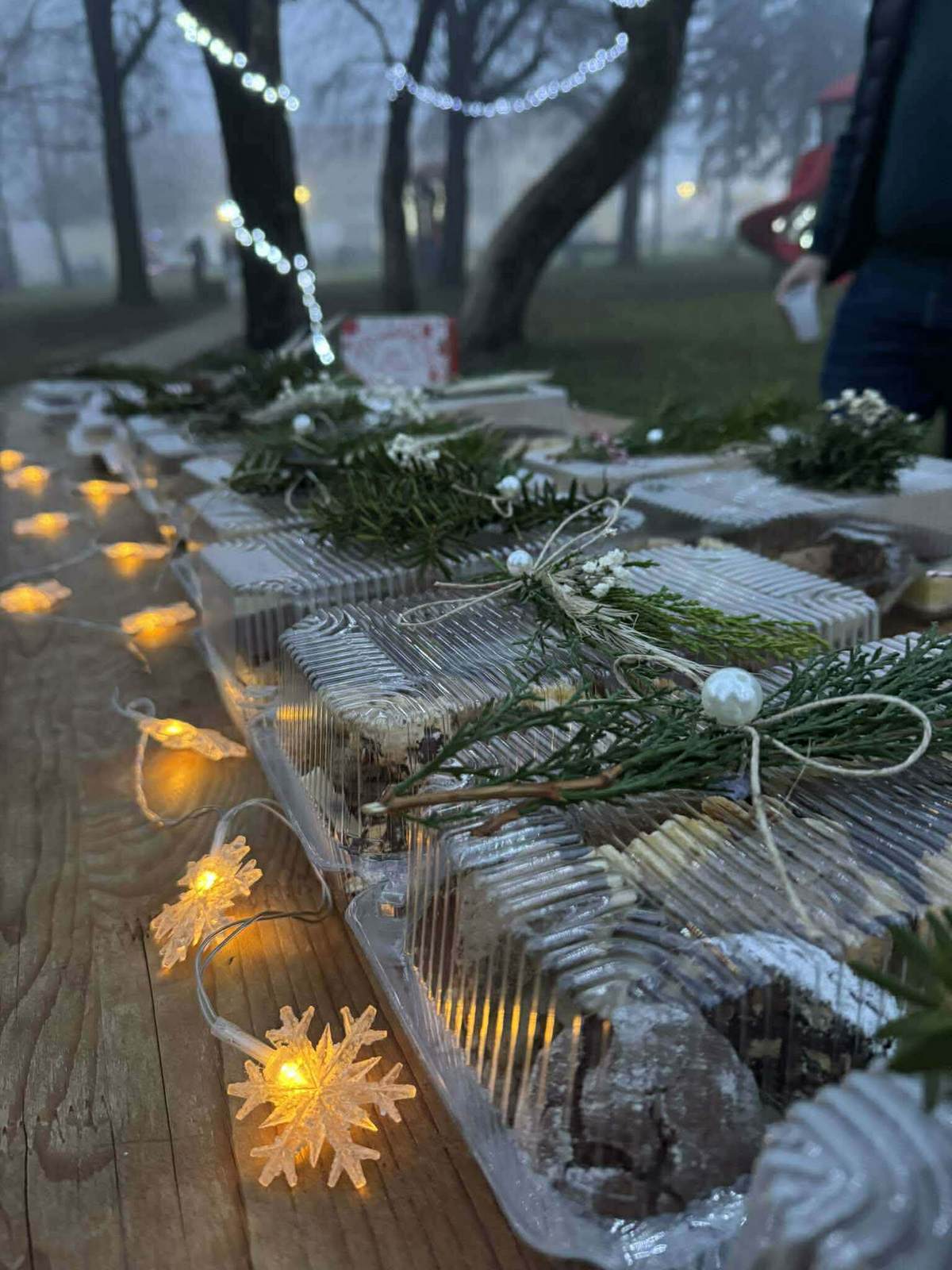 Advent Palinovec2025 (1)