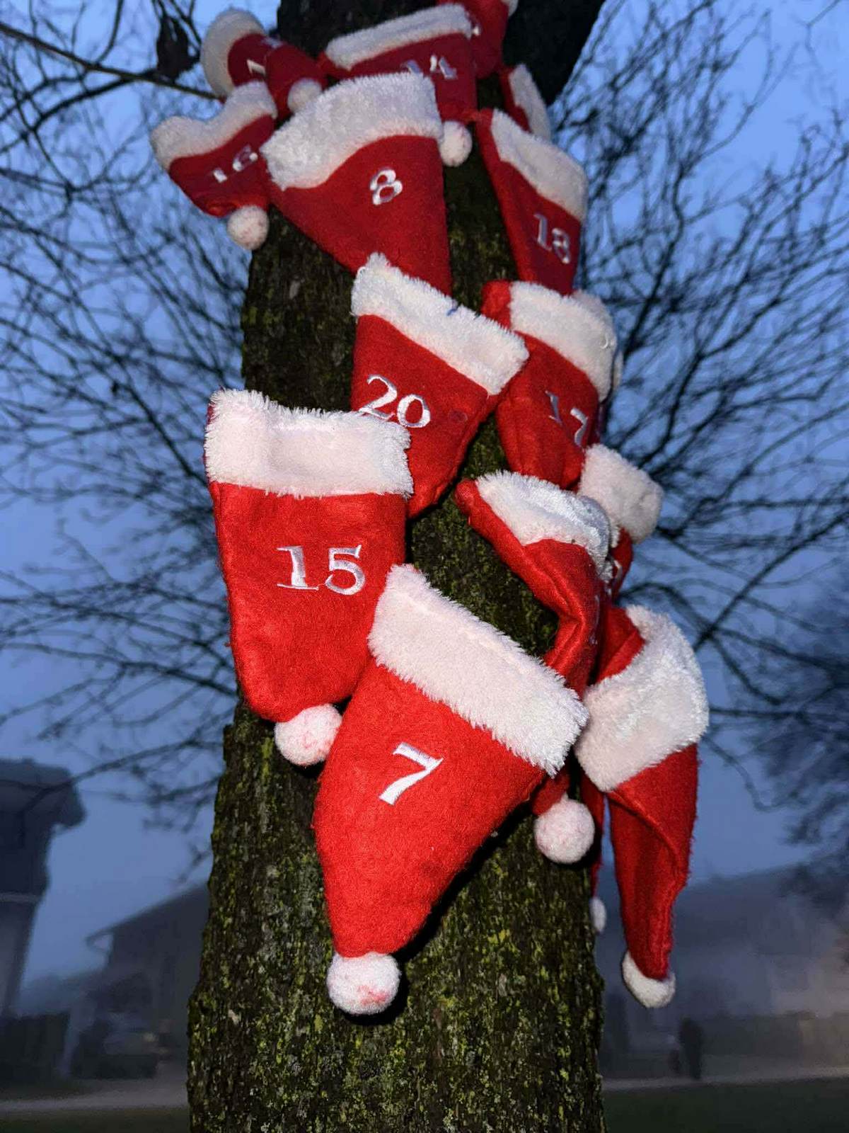 Advent Palinovec2025 (13)