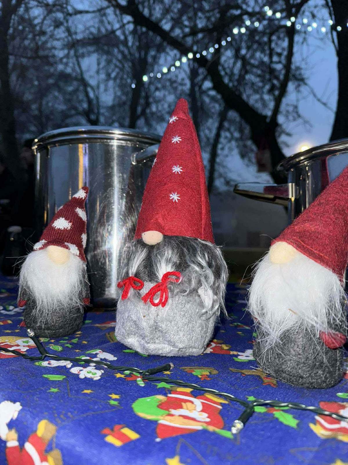 Advent Palinovec2025 (14)