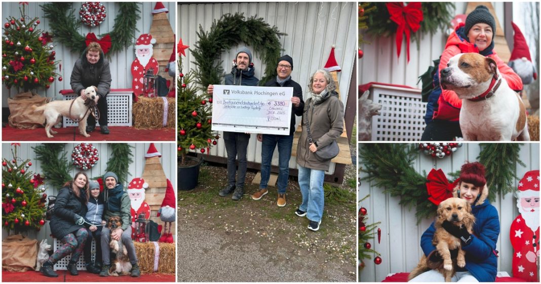 FOTO Azil Prijatelji Čakovec zahvaljujući dobrim ljudima obnovio svih 48 dvorišta u skloništu BeFunky collage (1)