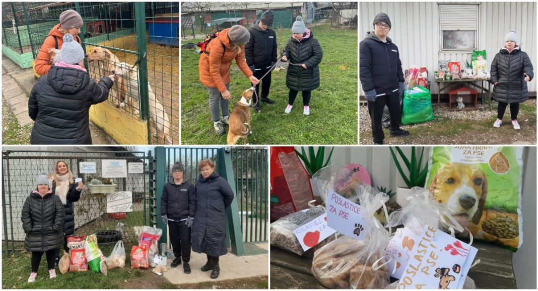 FOTO Topla gesta članova Udruge za sindrom Down Međimurske županije: Posjeta i podrška Azilu Prijatelji BeFunky collage 2025 12 01T092703.525