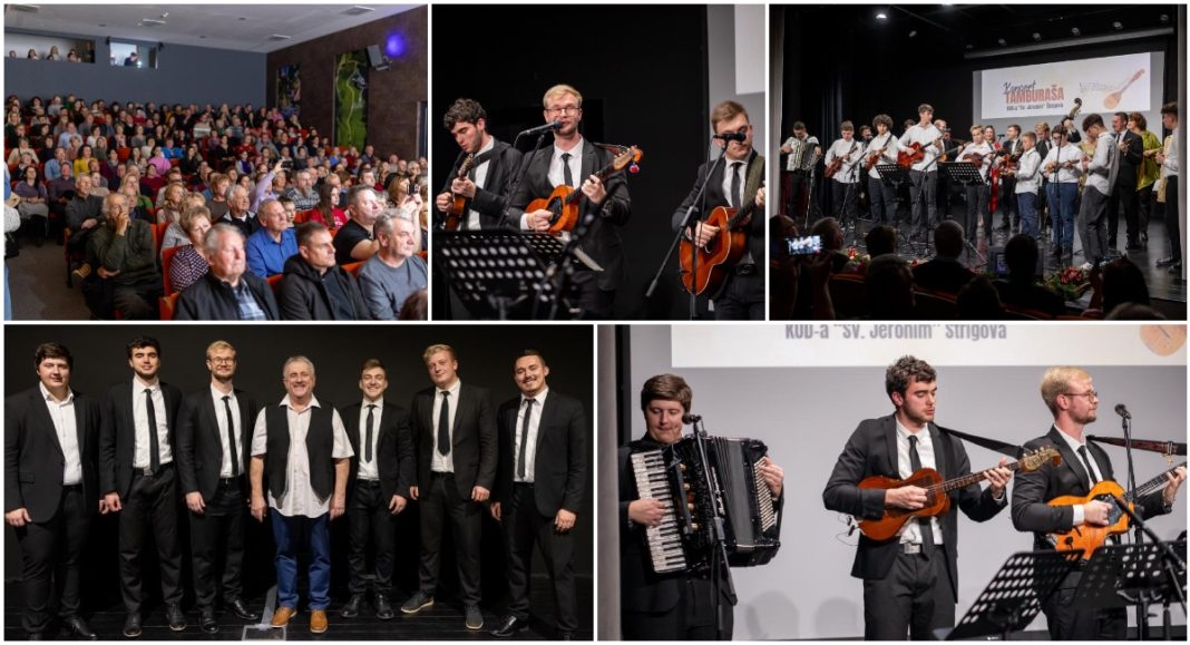 BeFunky collage 2025 12 01T124610.891