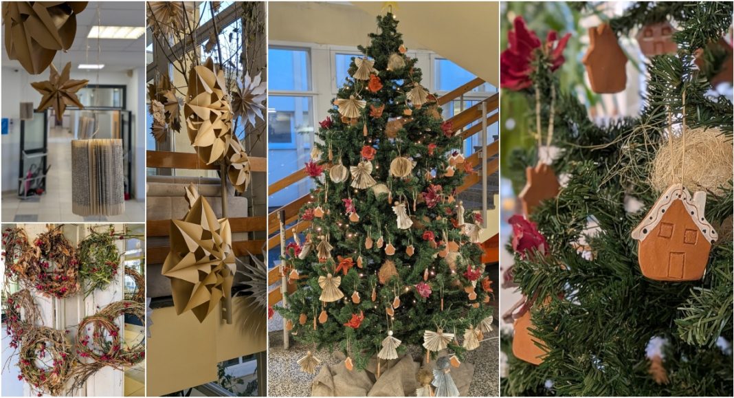 BeFunky collage 2025 12 02T170400.967