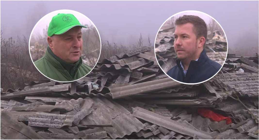 BeFunky collage 2025 12 03T093113