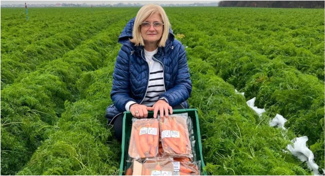 BeFunky collage 2025 12 09T135428.449