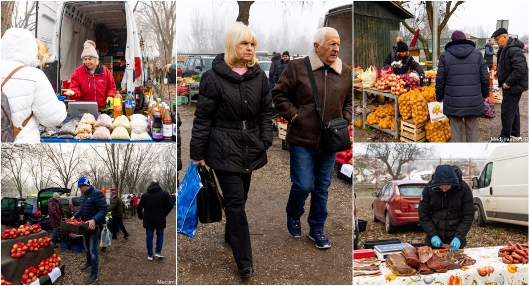 BeFunky collage 2025 12 10T134814.368