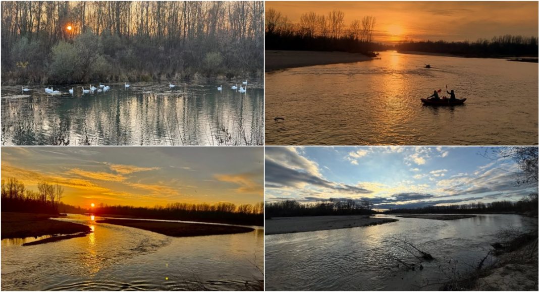 BeFunky collage 2025 12 12T123915.107