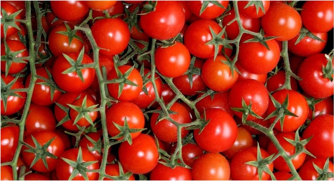 Trgovački lanac povlači povrće iz Italije. Otkrivena štetna kemikalija BeFunky collage 2025 12 13T095357.829