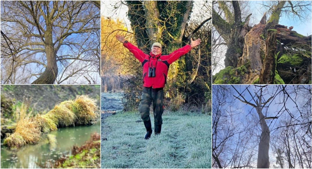 BeFunky collage 2025 12 15T123825.273