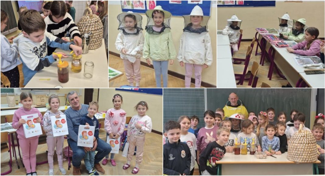 FOTO Prvašići OŠ Petar Zrinski Šenkovec učili o pčelama, kušali med i upoznali svijet pčelarstva BeFunky collage 2025 12 16T161730.047