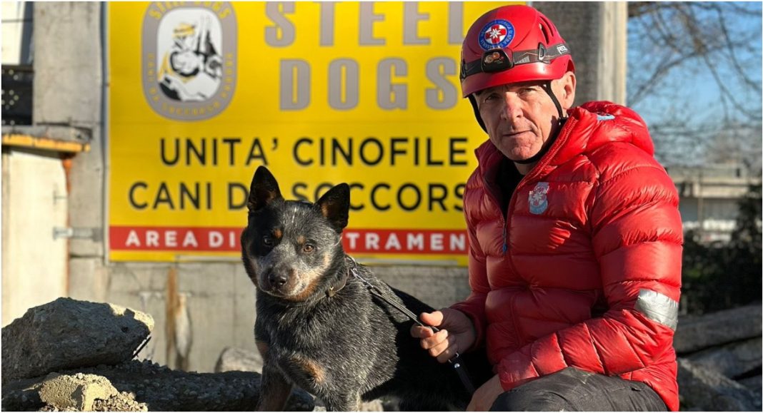 K9 tim HGSS-a Čakovec sudjelovao na seminaru potrage i spašavanja u ruševinama u Italiji BeFunky collage 2025 12 17T135201.319