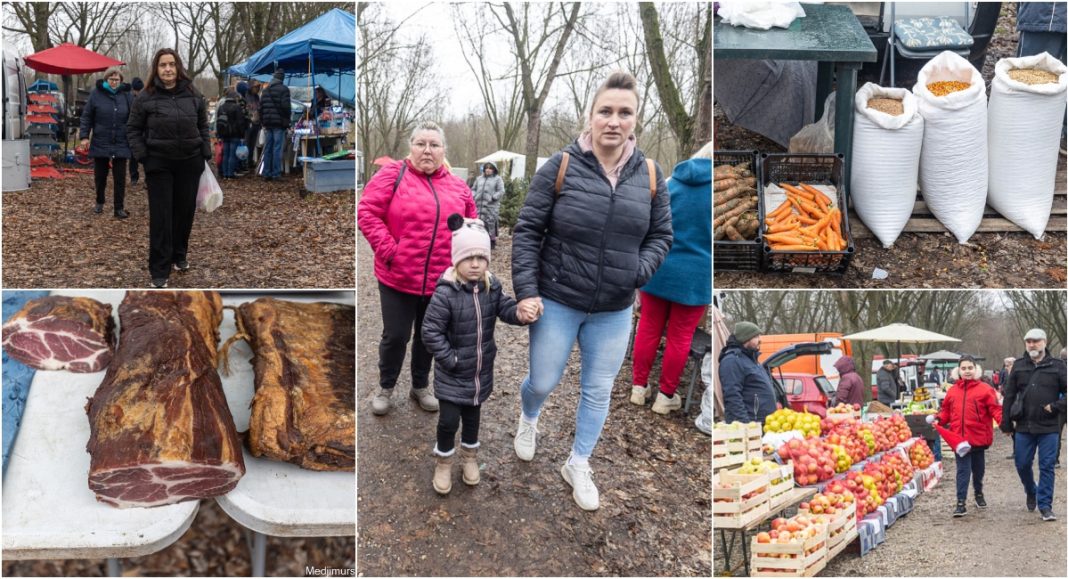 BeFunky collage 2025 12 17T144158.308