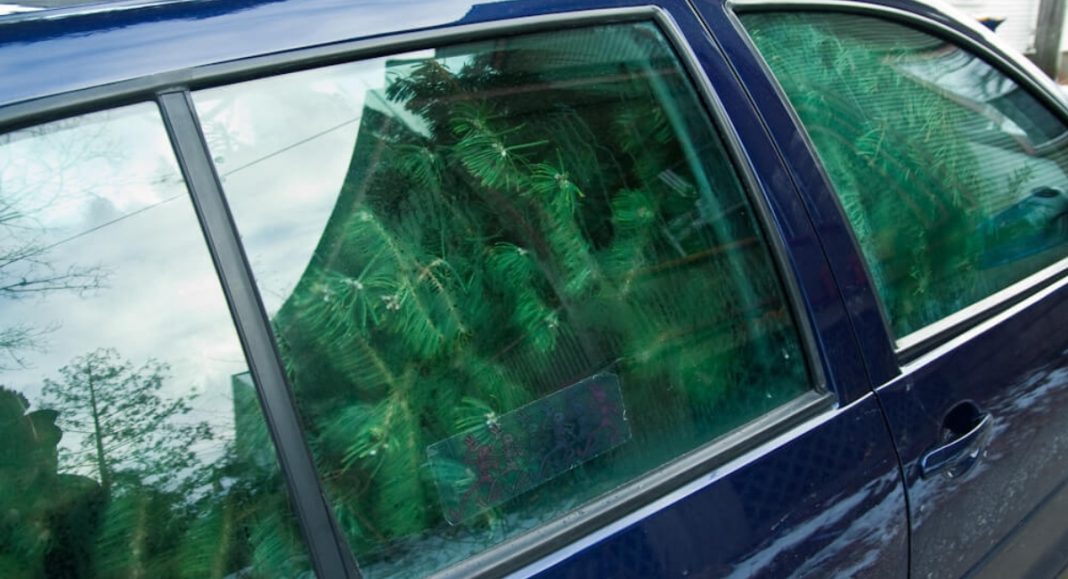 BeFunky collage 2025 12 23T094519.651