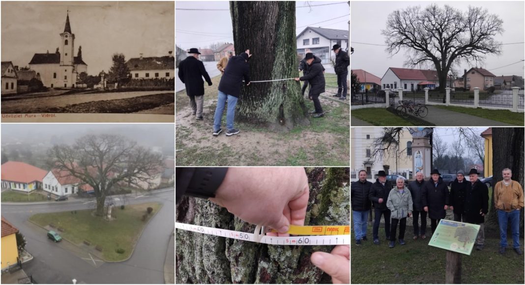 BeFunky collage 2025 12 27T111349.753