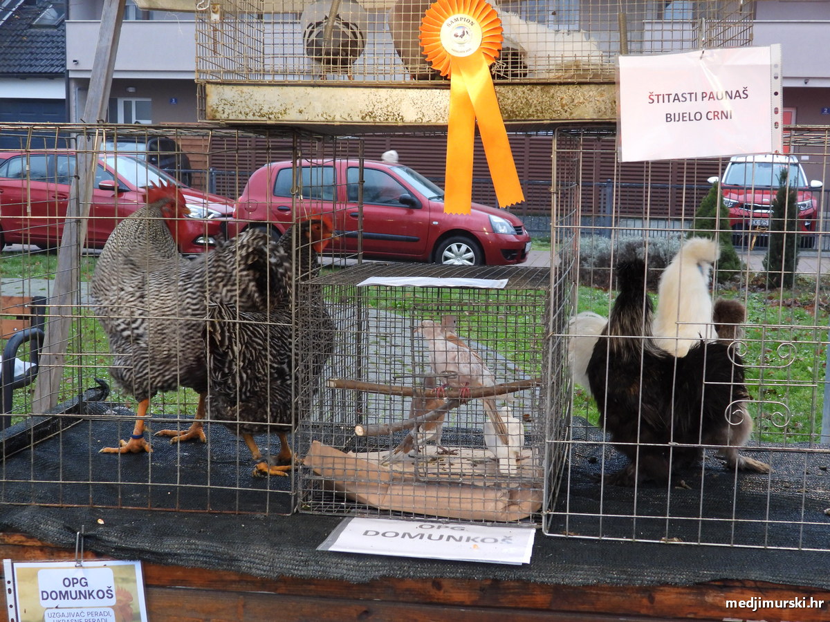 Božićni sajam Šenkovec (38)