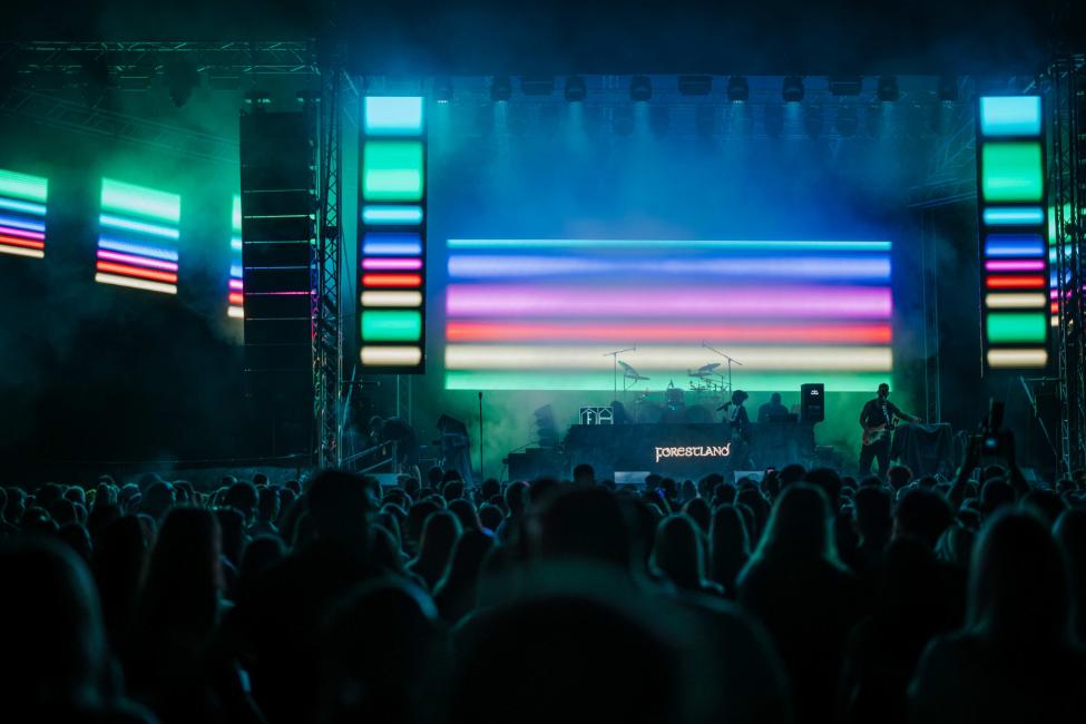 Forestland subota Bruno 114 (1)