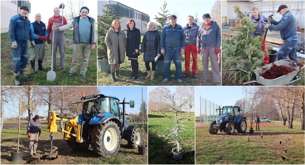 FOTO Od lavande do borova: Sveta Marija dobiva jedan od najljepših školskih parkova! GLAVNA 2025 12 09T163159.661