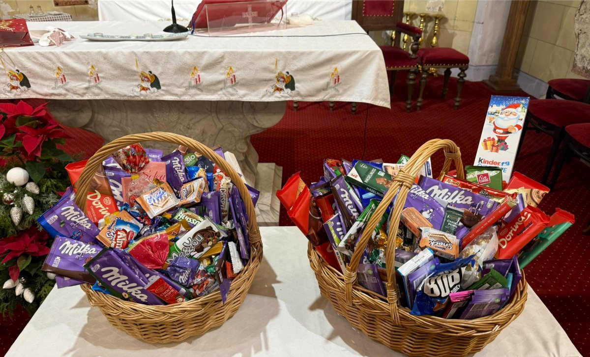 GLAVNA FOTKA 605476566 1315041073995906 9053415066308820647 n (1)