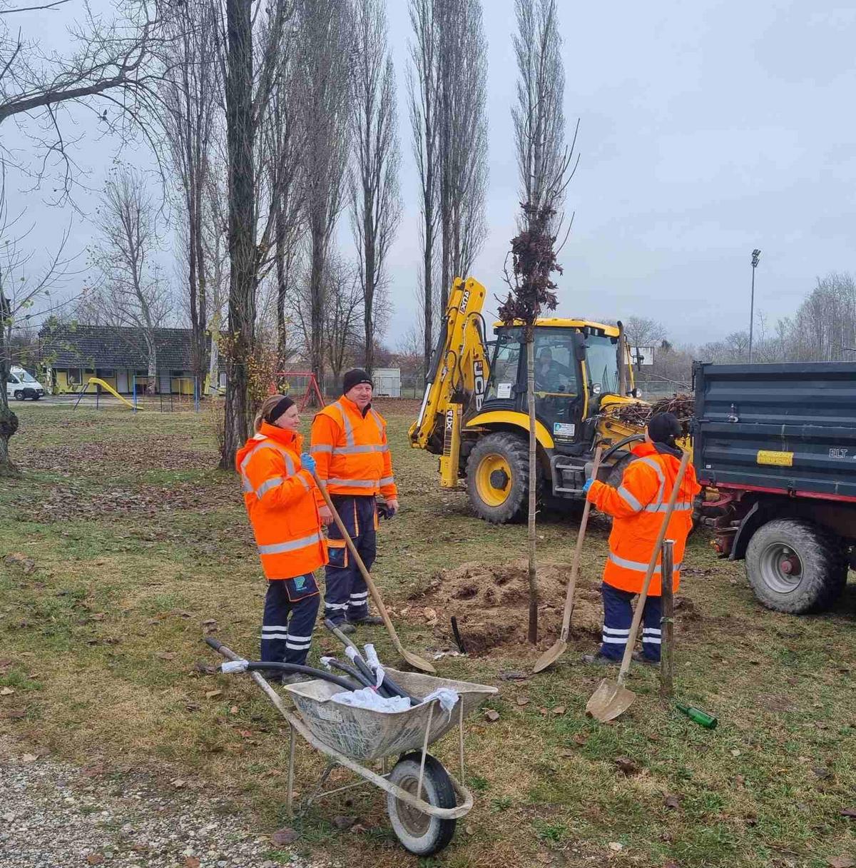 Grad Prelog sadnja drveća (12)