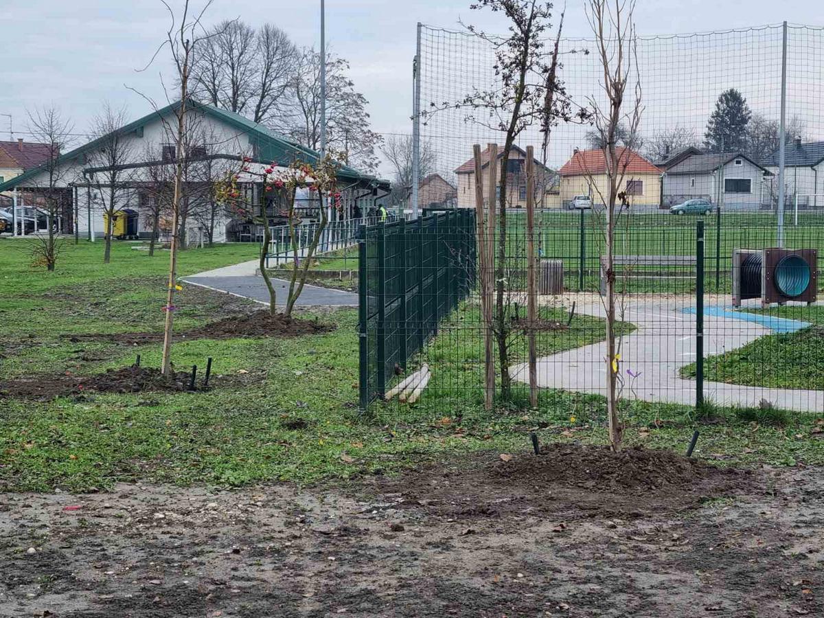 Grad Prelog sadnja drveća (13)
