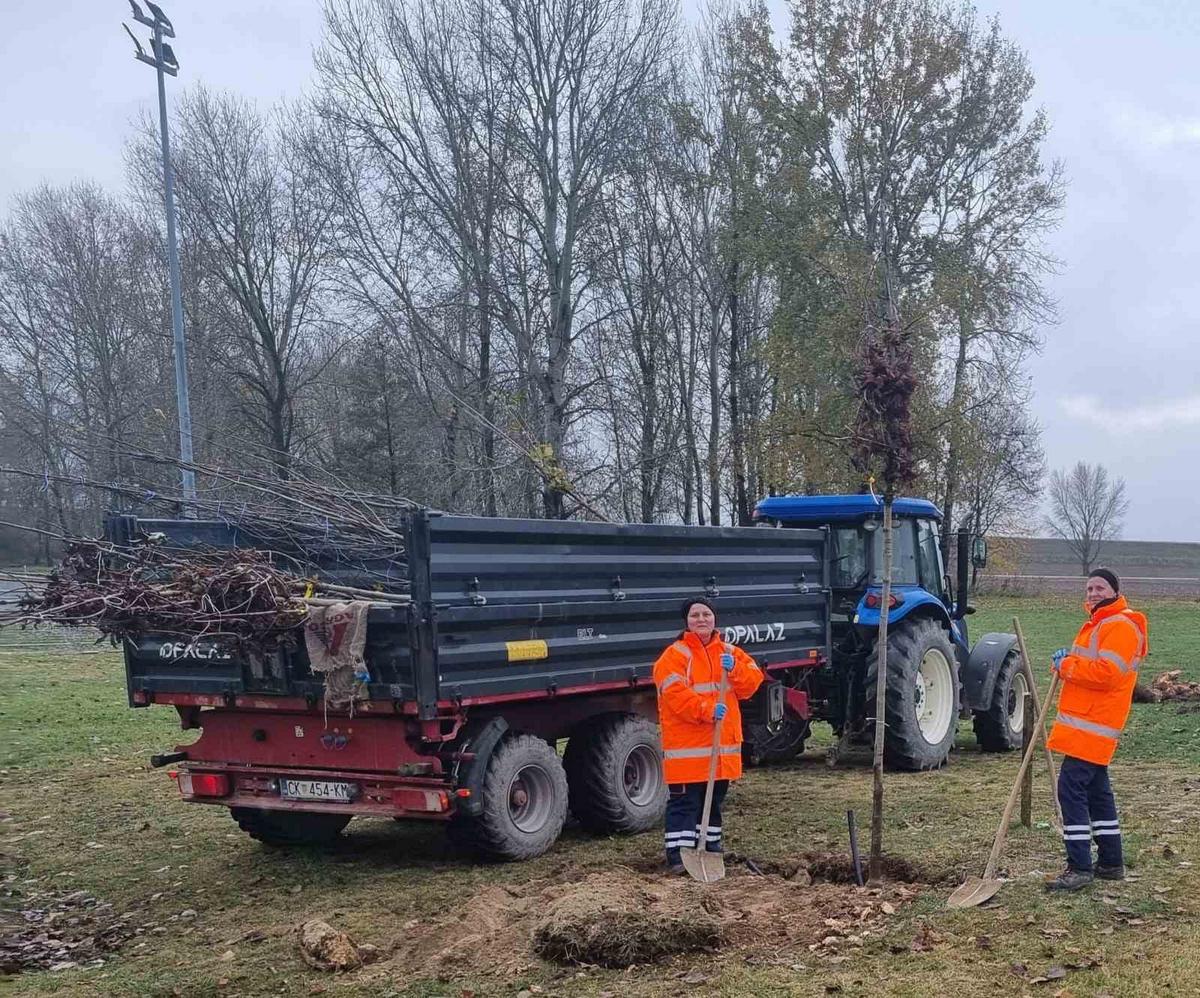 Grad Prelog sadnja drveća (3)