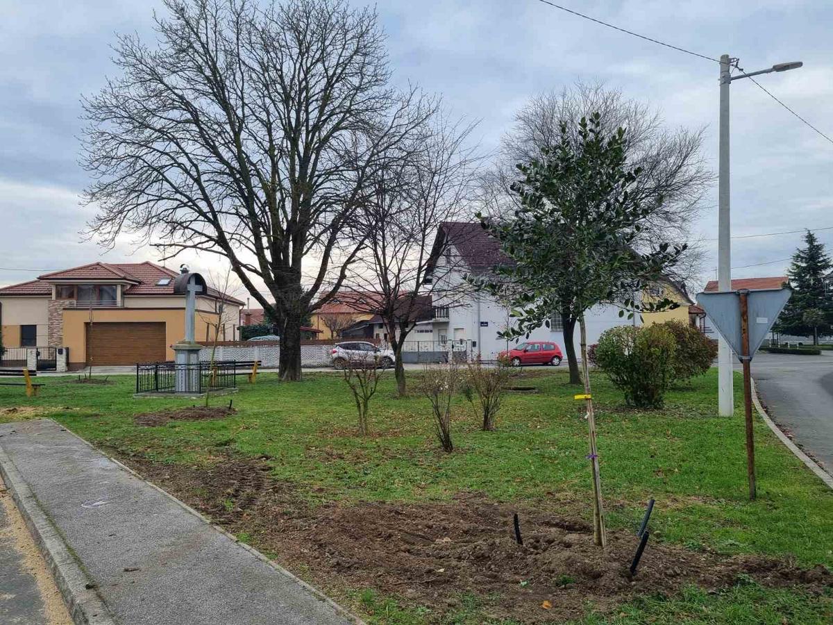 Grad Prelog sadnja drveća (4)