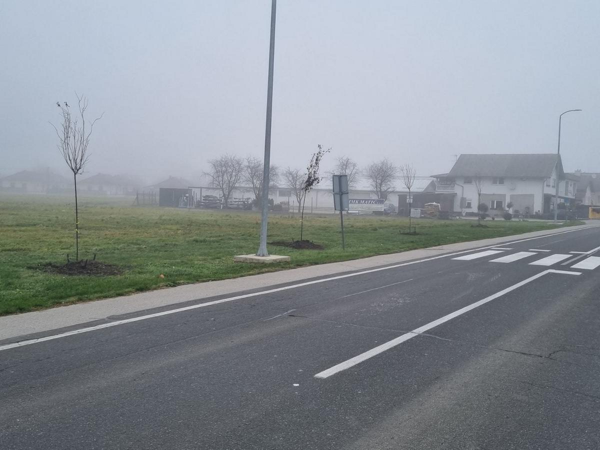 Grad Prelog sadnja drveća (8)