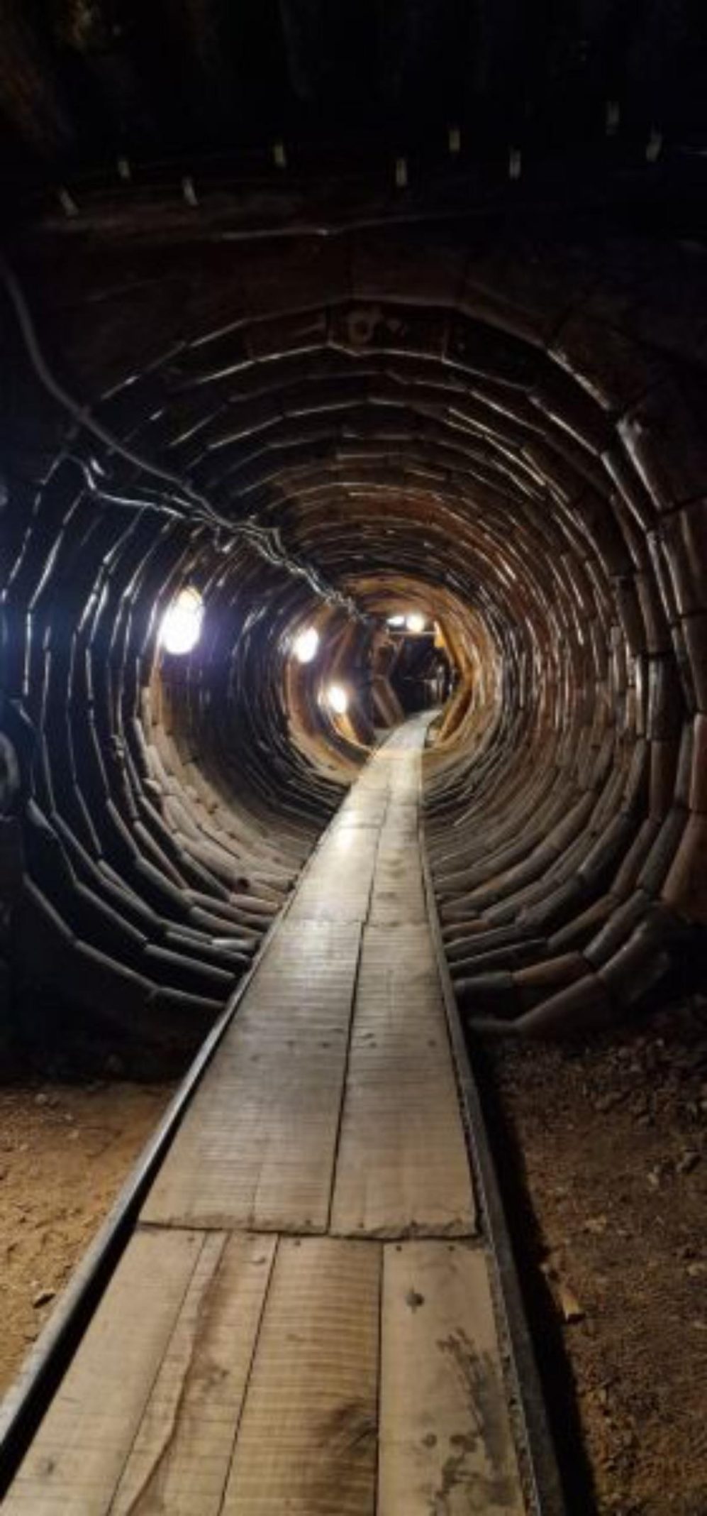 IMG 4f3bae163d6350760b505a1b94ebf5ed V