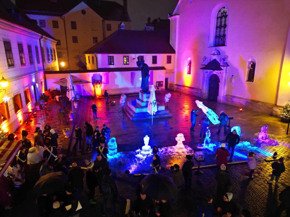 Ledene skulpture 25 (10)