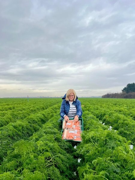 O 205e6b84 4a1e 4553 9305 d378168037a0