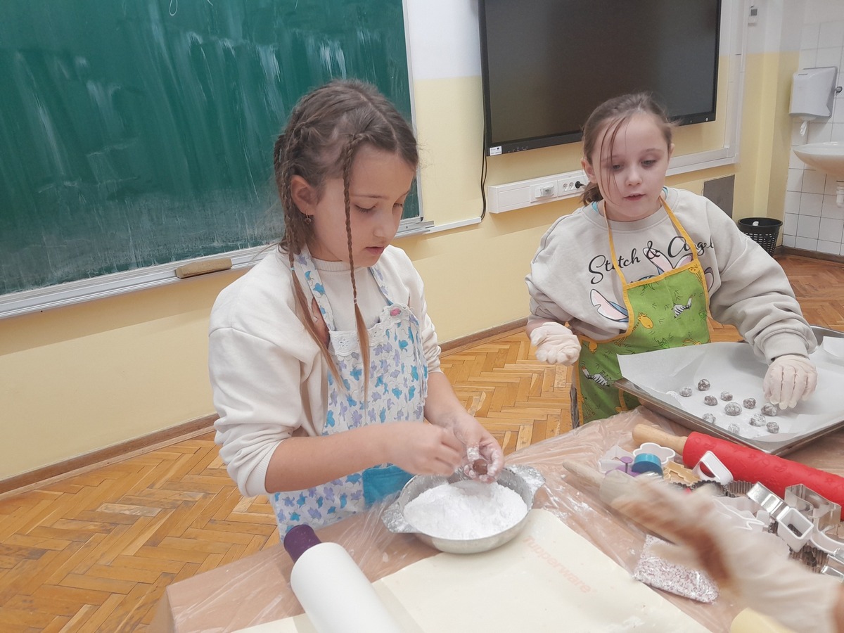 OŠ Petar Zrinski Šenkovec (10)