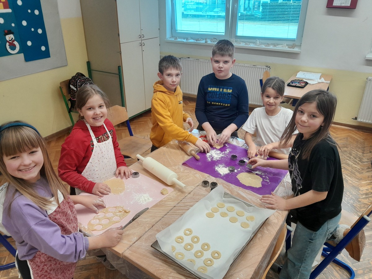 OŠ Petar Zrinski Šenkovec (11)