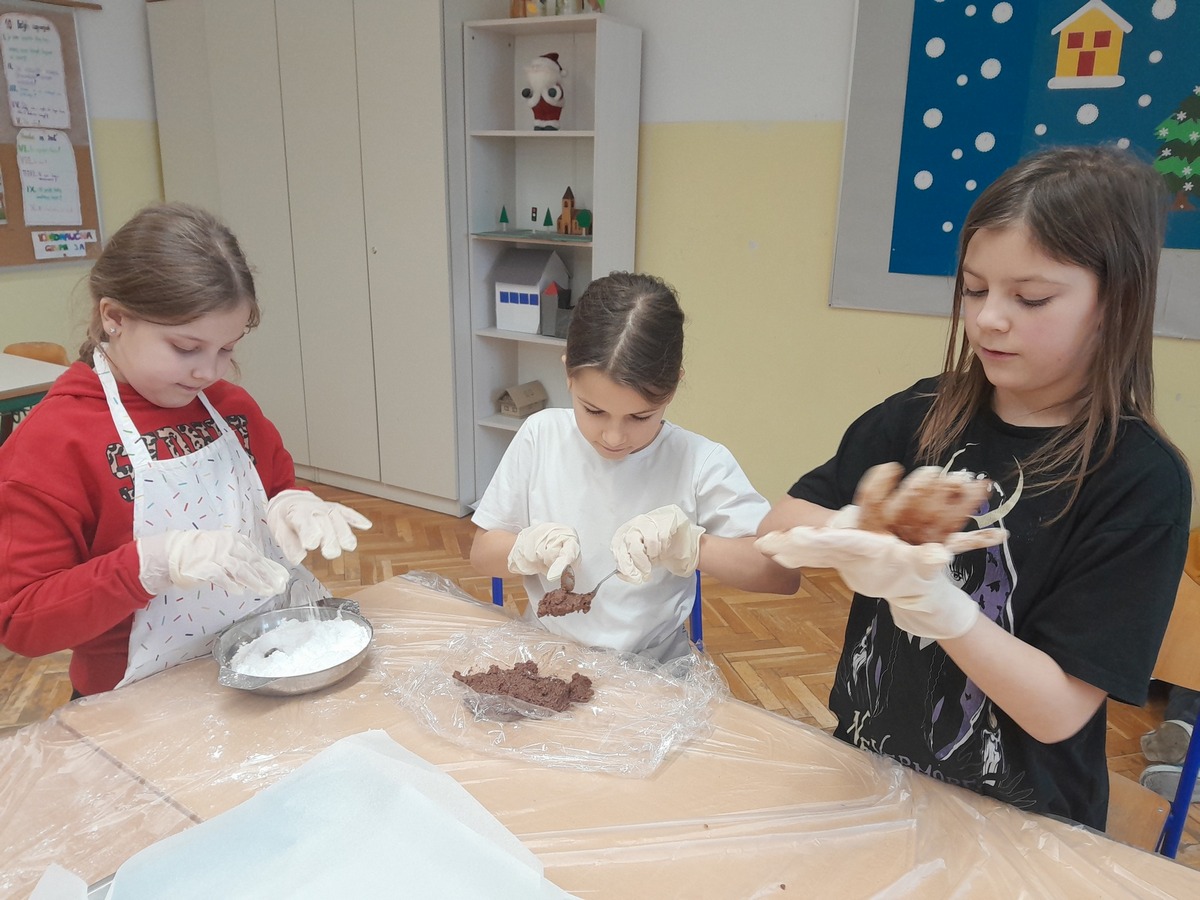 OŠ Petar Zrinski Šenkovec (13)