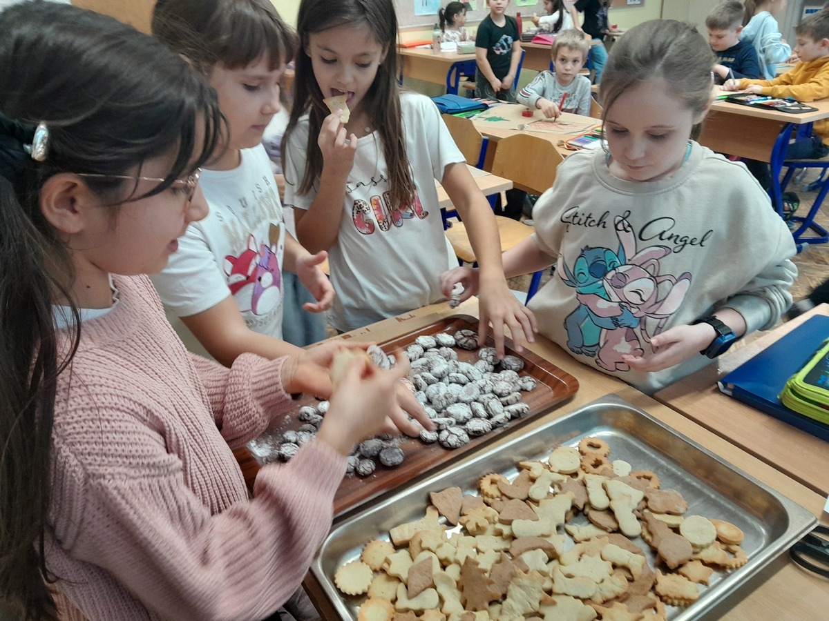 OŠ Petar Zrinski Šenkovec (7)