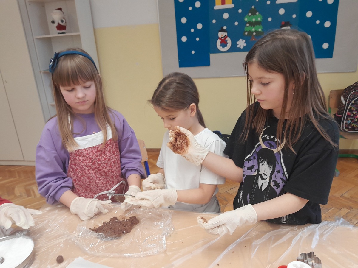 OŠ Petar Zrinski Šenkovec (8)