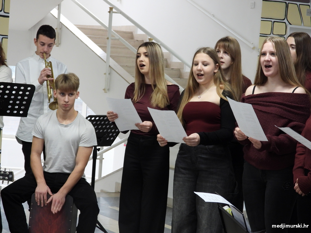 Srednja škola Čakovec Depadansa (12)