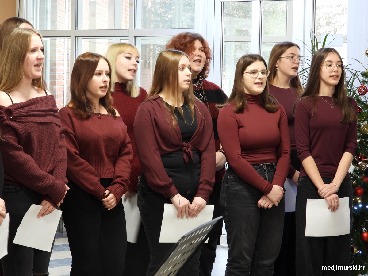 Srednja škola Čakovec Depadansa (15)