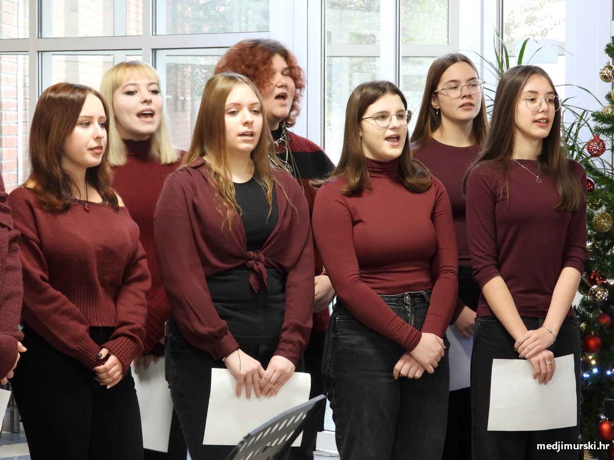 Srednja škola Čakovec Depadansa (16)