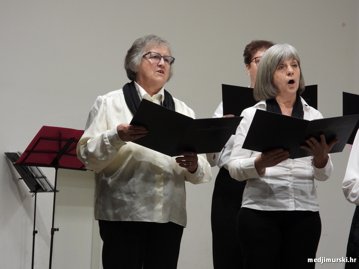 Štefanjska priredba Orehovica 2025 (69)